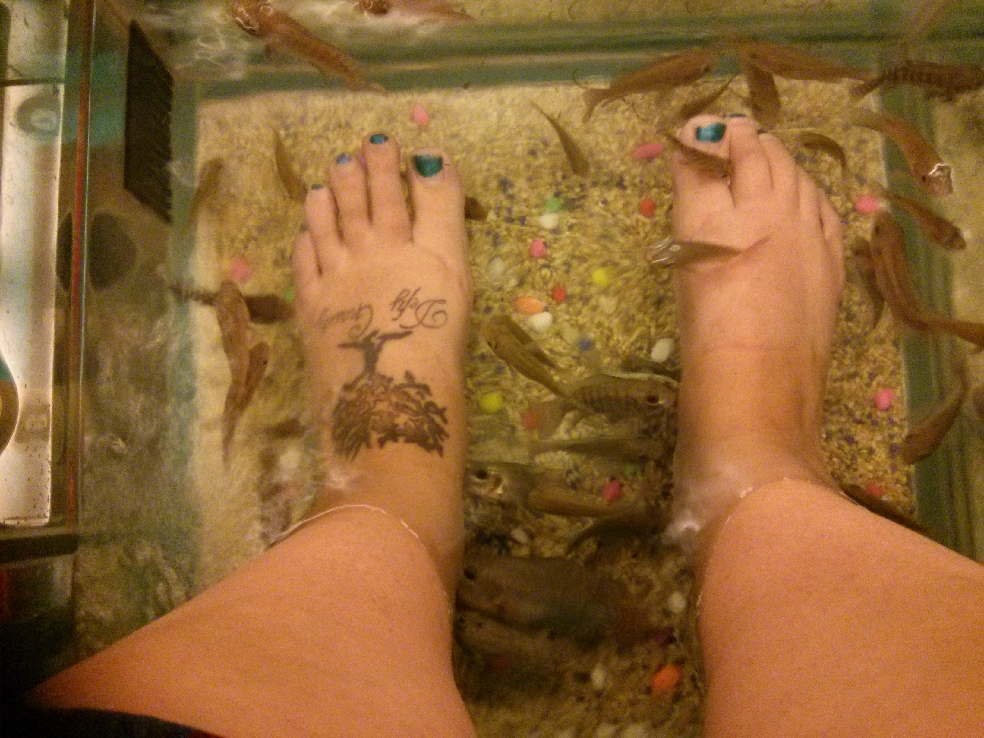 These little fish eat the dead skin on your feet.  It tickles like CRAZY at first, but once the nerves in your feet calm down, it's pretty cool.  This was definitely the most interesting pedicure I've ever received!