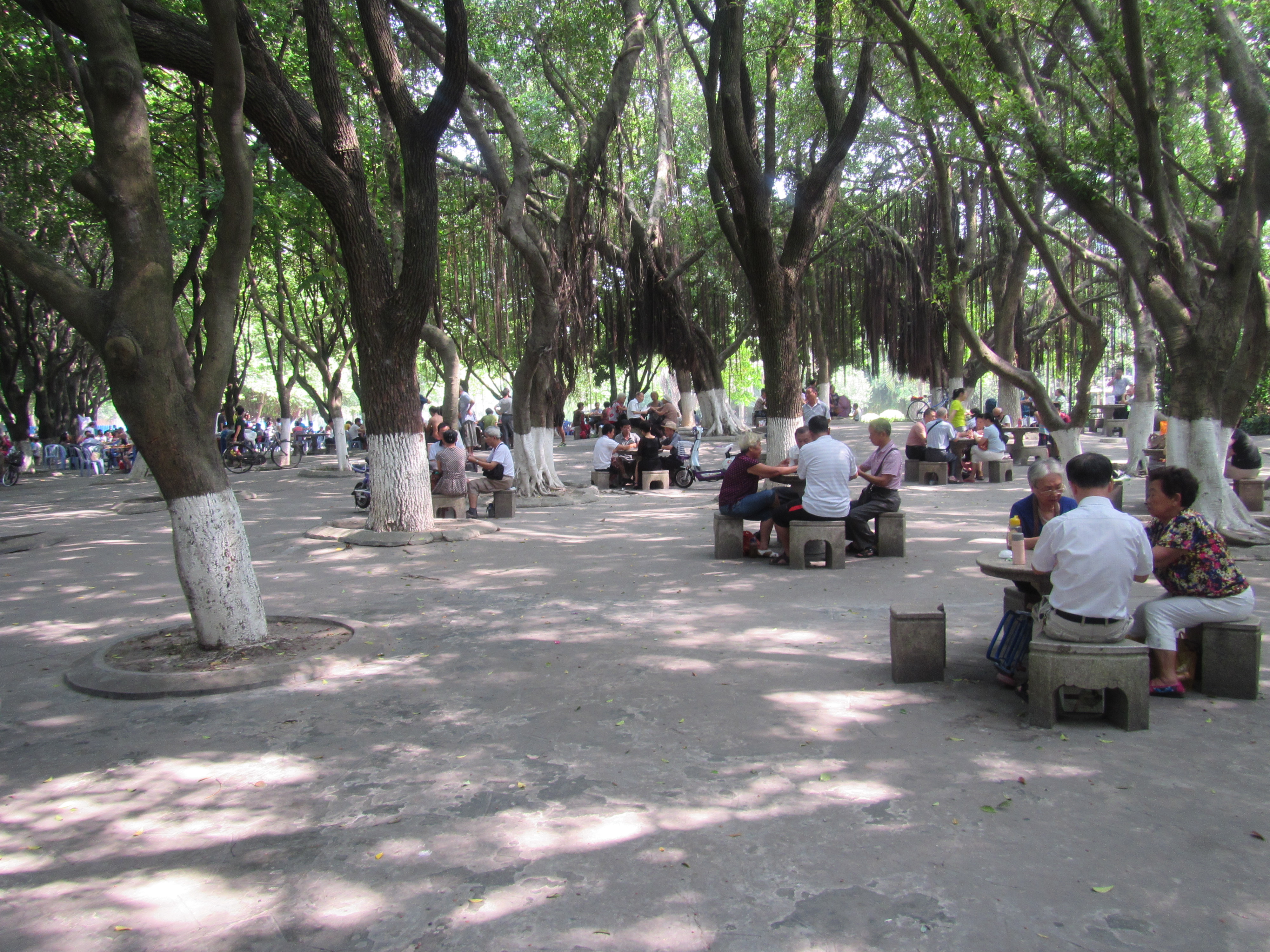 Retirees playing mahjong and card games in the park.  I think this would be a lovely place to spend my retirement!!