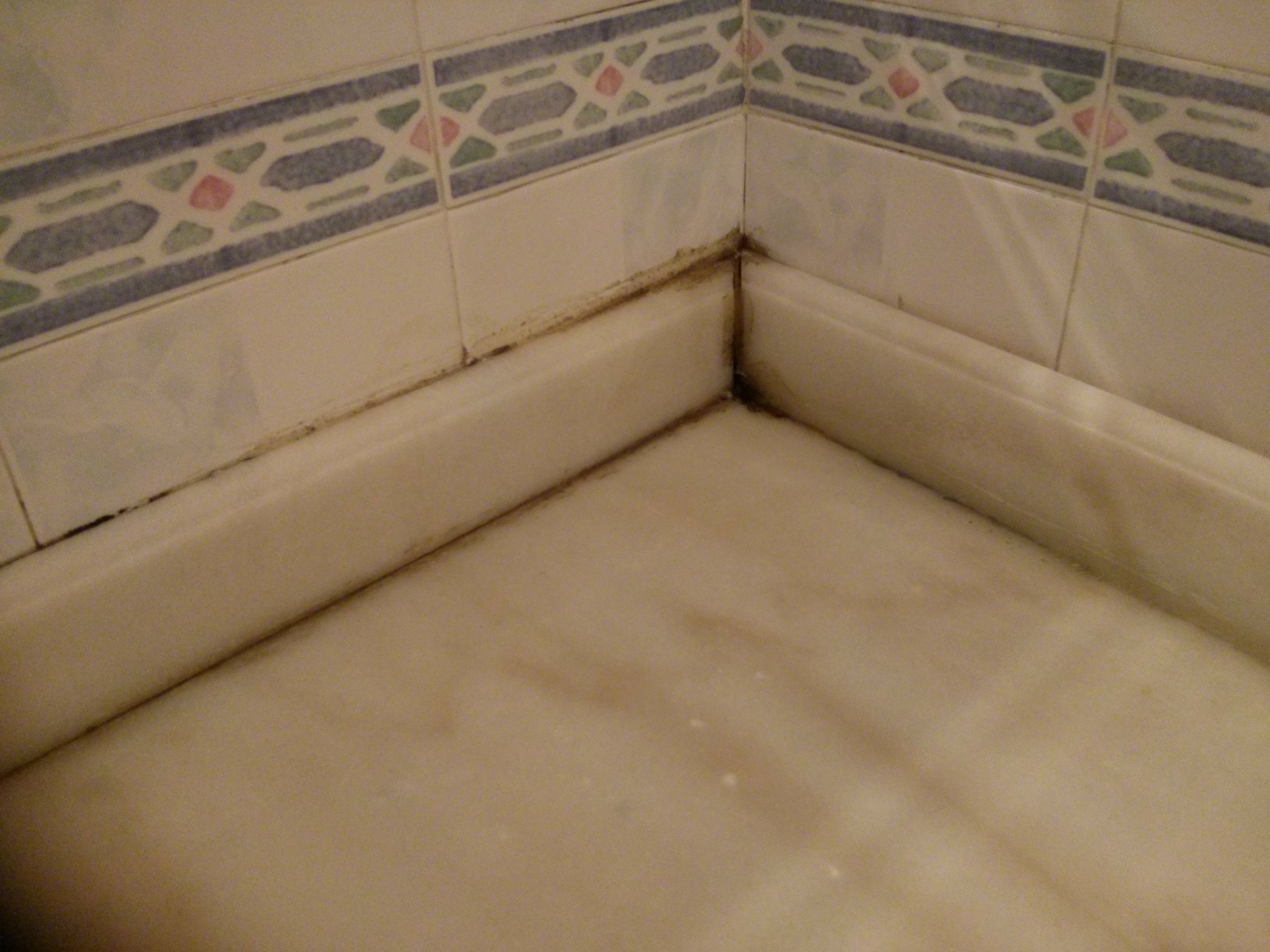 5 Upstairs bathroom mold