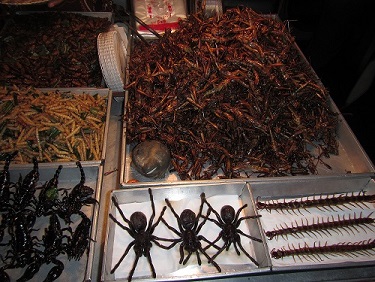 They also had centipede, tarantula and cockroaches, but I didn`t care to try any of them haha!