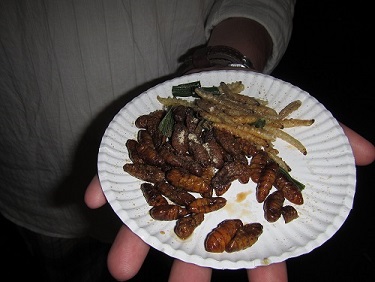 We tried the silk worms (the small ones near the top of the plate) and the bamboo worms (the fat ones).  Both were alright...not anything I`d go out of my way to order, but they definitely weren`t as appalling as some may assume!